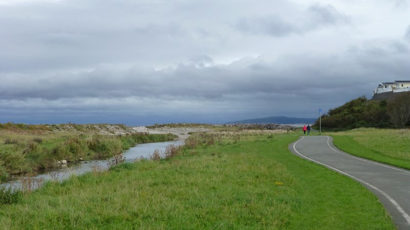 P1000079.jpg