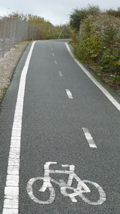 P1000072 (400 x 710).jpg