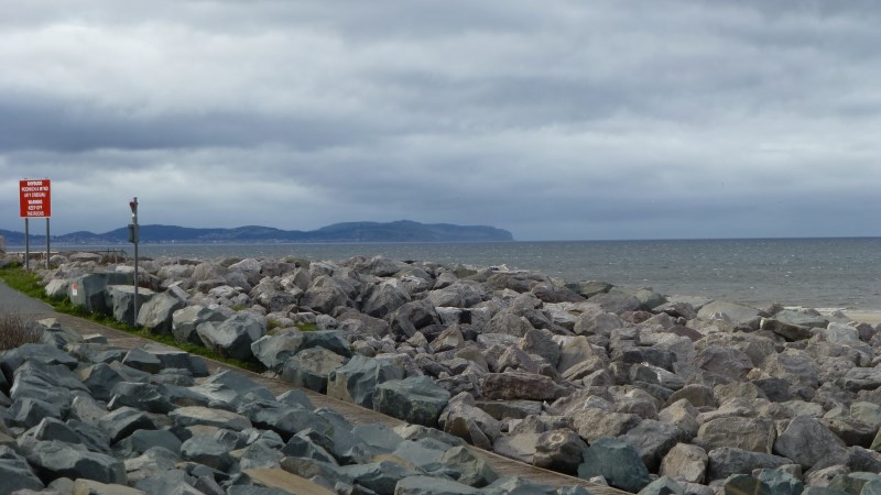 P1000085.jpg