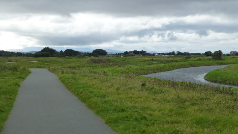 P1000098.jpg