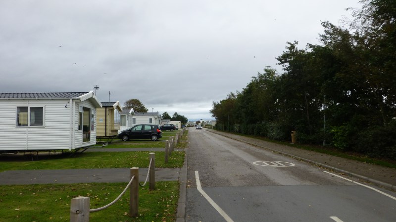P1000100.jpg