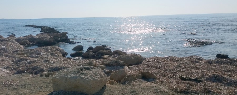 20171202_101322 (900 x 362).jpg