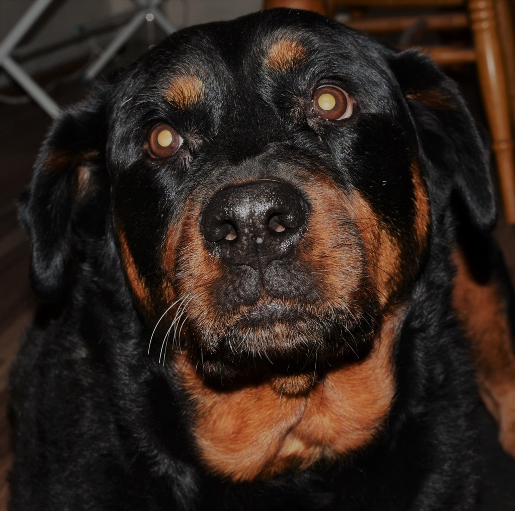 dsc_7598--2-.jpg