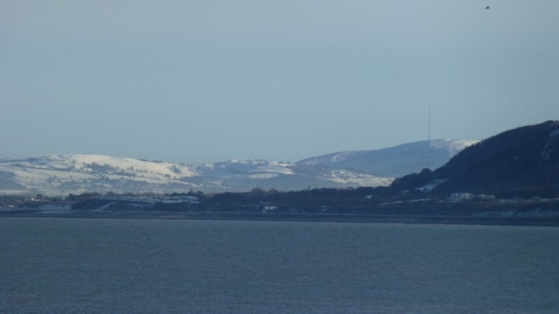 P1000382 (800 x 450).jpg