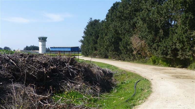 P1000546.jpg