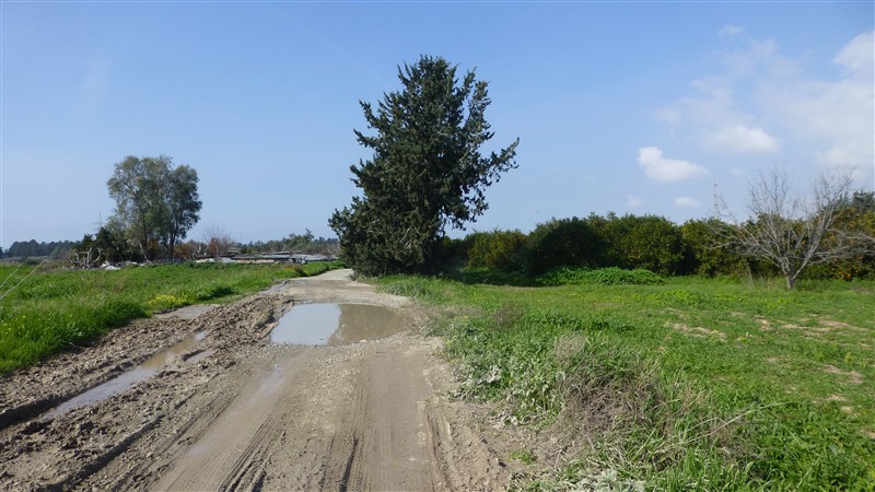 P1000549.jpg