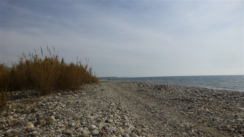 P1000565.jpg