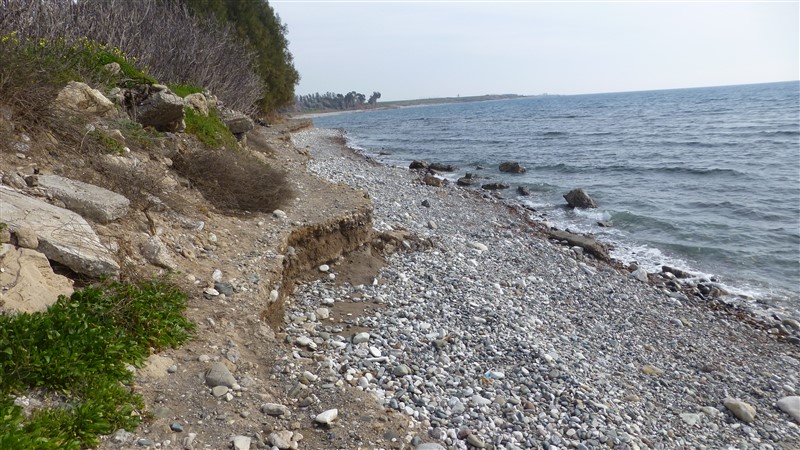 P1000567.jpg