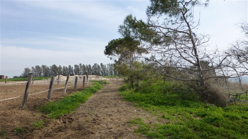 P1000570.jpg