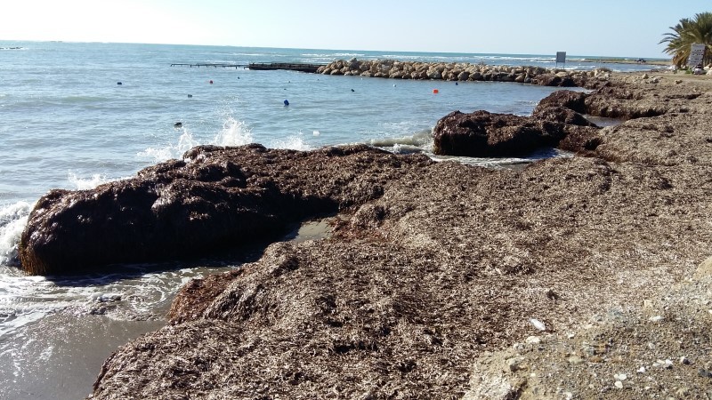 20160109_112810 800 x 450_zpsqrulfvvr.jpg