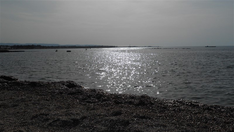 DSCN0126 (800 x 450).jpg