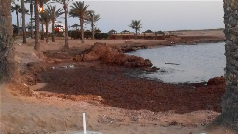 DSCN0162 (800 x 450).jpg