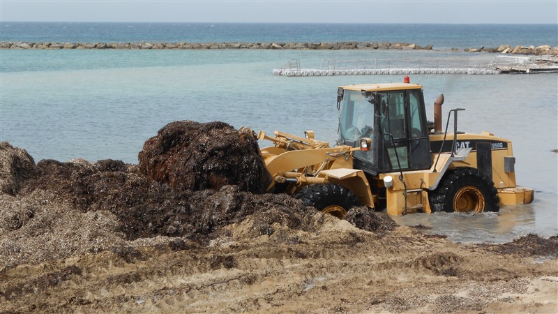 DSCN0170 (800 x 450).jpg