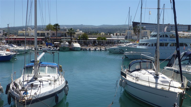 P1000832 (800 x 450).jpg