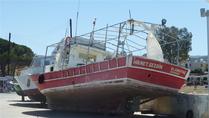 P1000839 (800 x 450).jpg