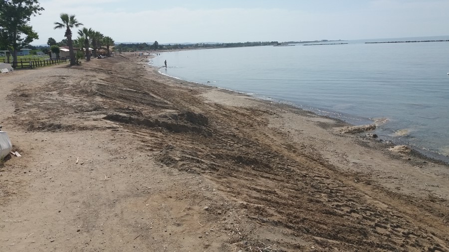 20180519_093715 (900 x 506).jpg