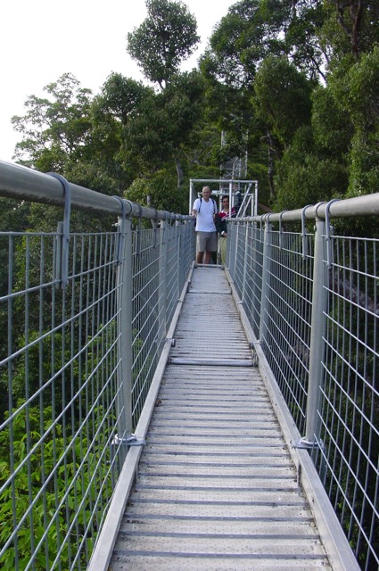 canopy - 1.jpg