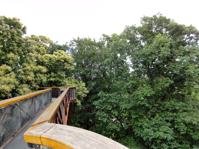 Kew - 1.jpg