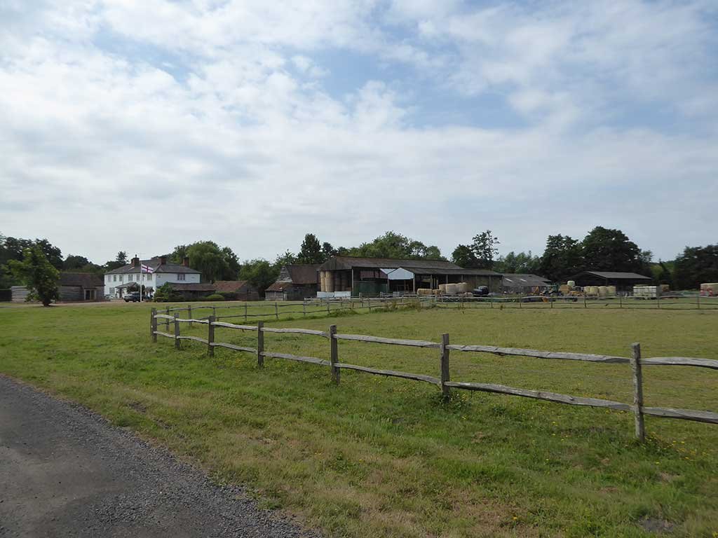 01_farmyard_stroll.jpg