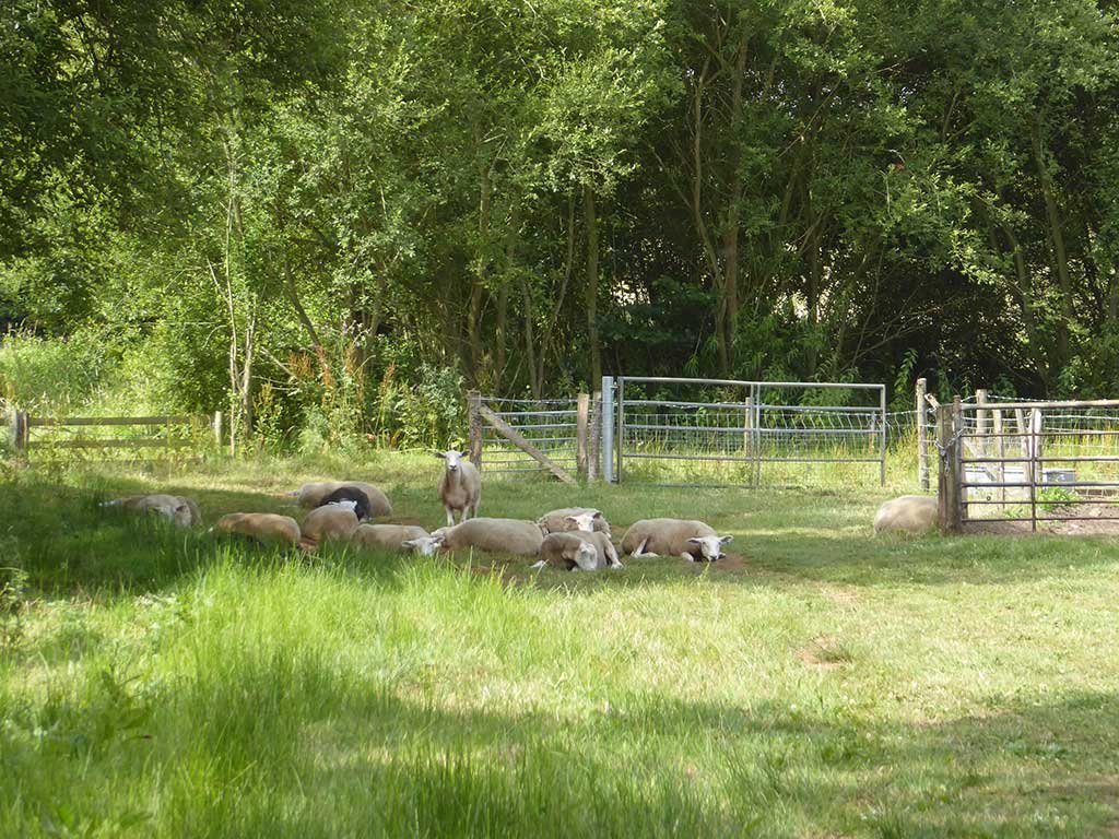 03_baaaaa.jpg