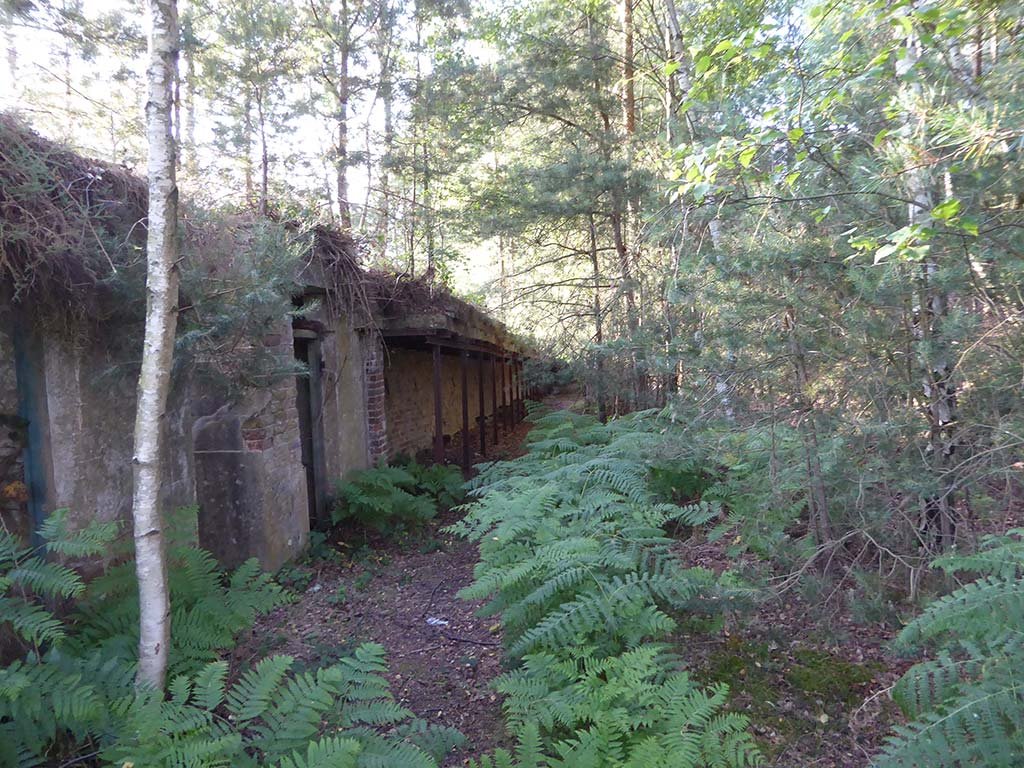 16_squaddie_urbex.jpg