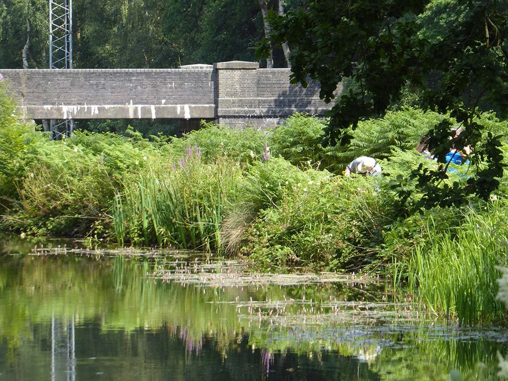17_basingstoke_canal.jpg