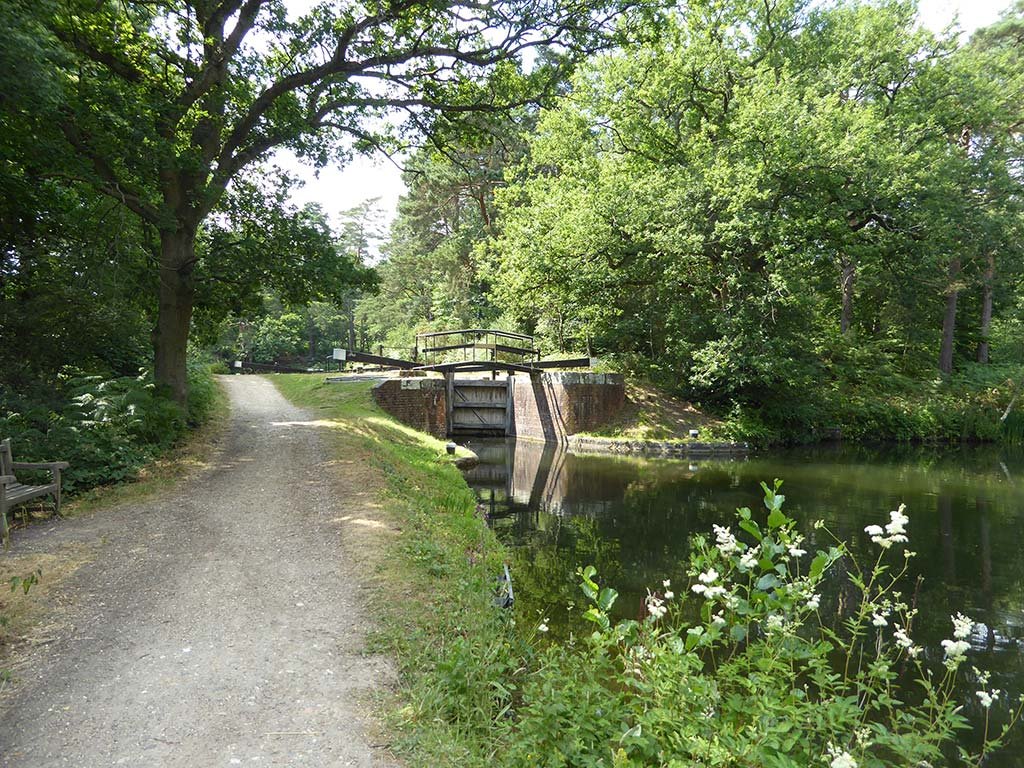 18_basingstoke_canal_lock.jpg