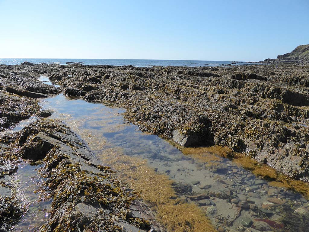 22_rockpools.jpg