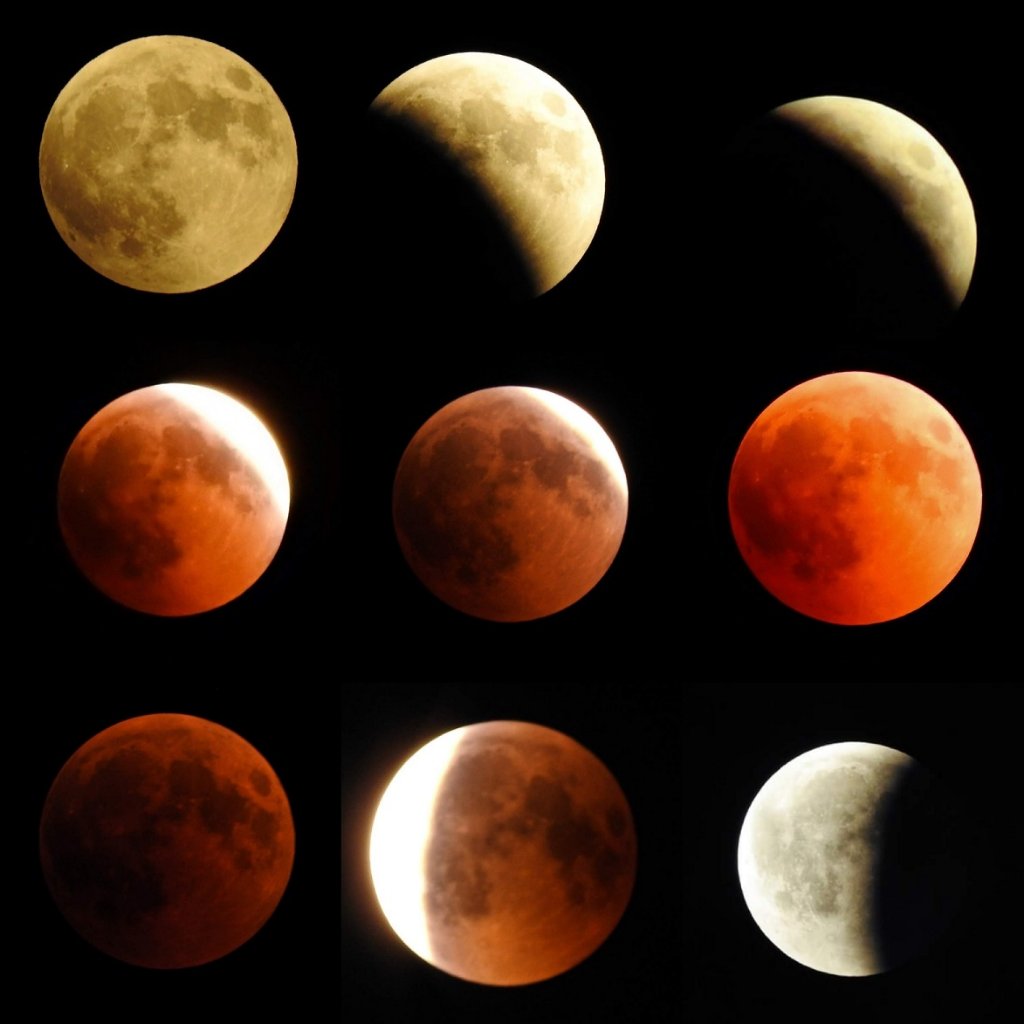 eclipse collage edit 75.jpg