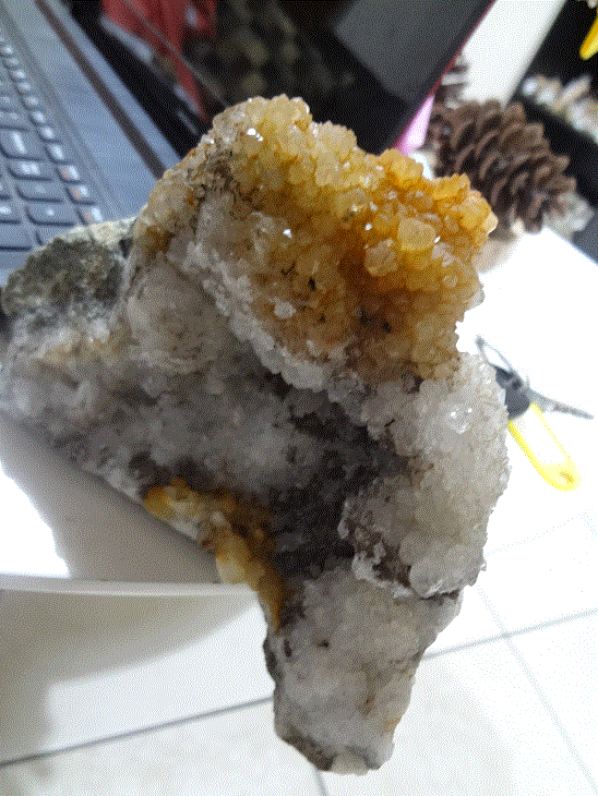DSC03512.gif