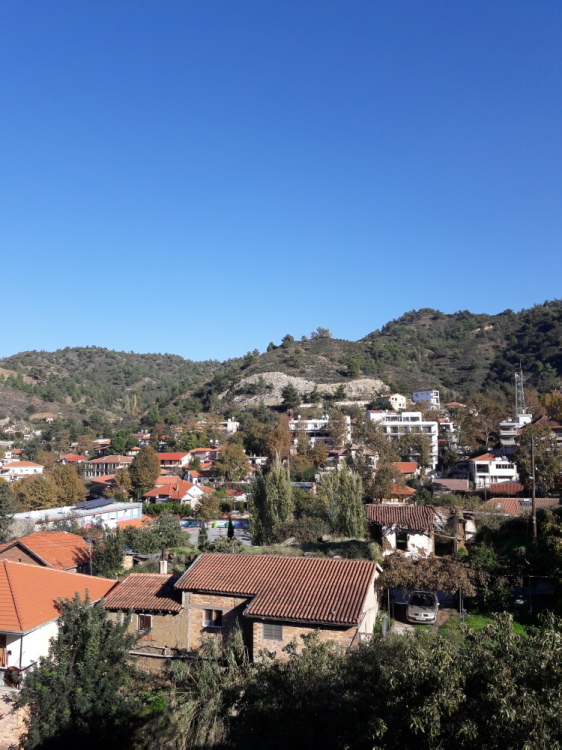 20181102_143942 - Copy.jpg
