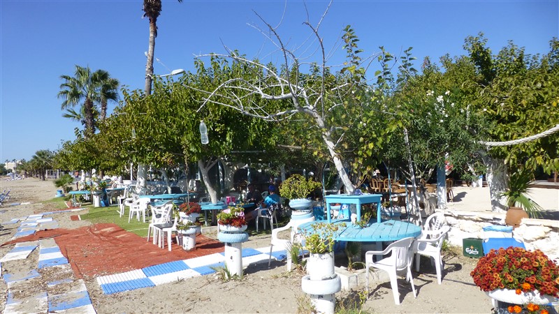 P1020464 (800 x 450).jpg