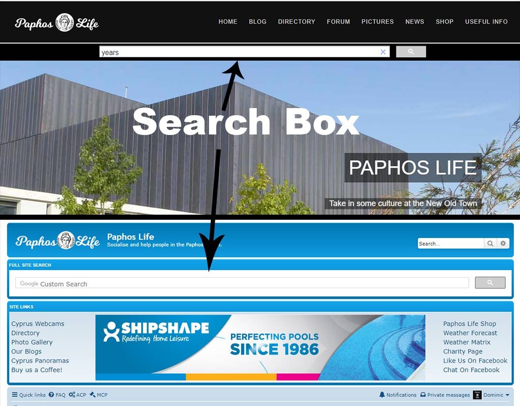 search.jpg