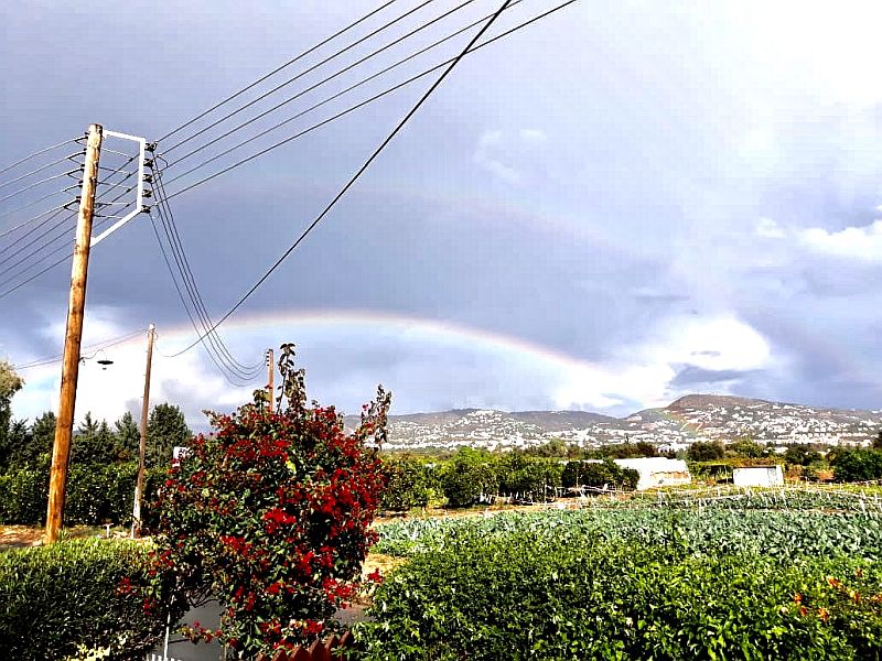Rainbow.jpg