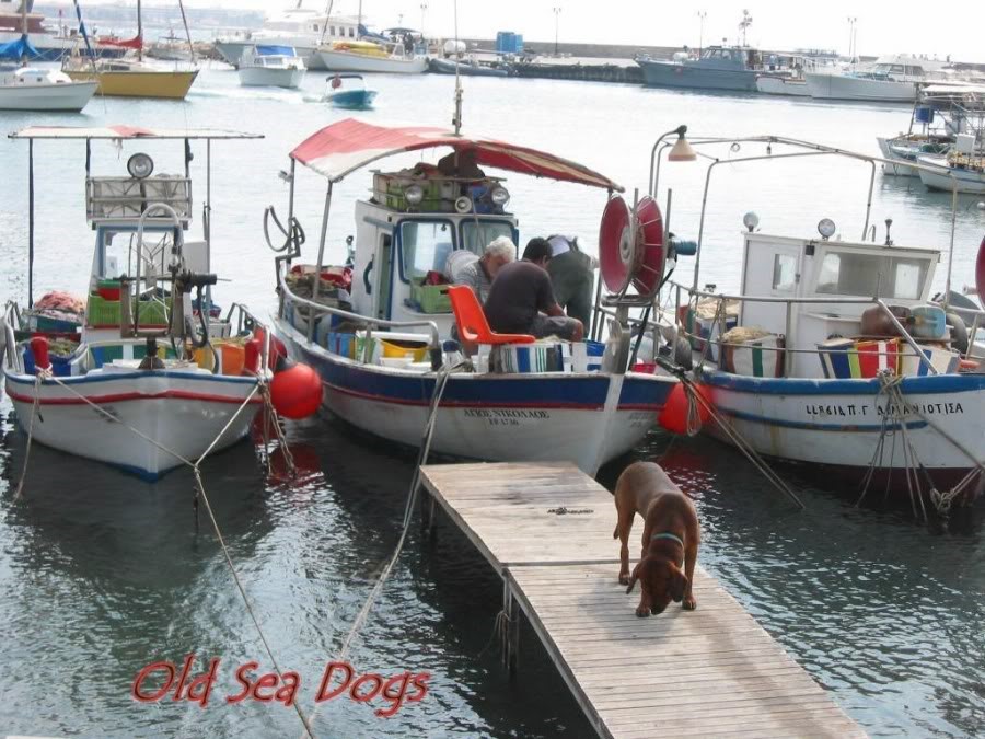 OLDSEADOGS900x675 (900 x 675).jpg