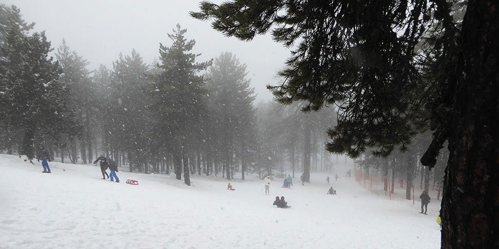 winter-wonderland-2019_masthead.jpg