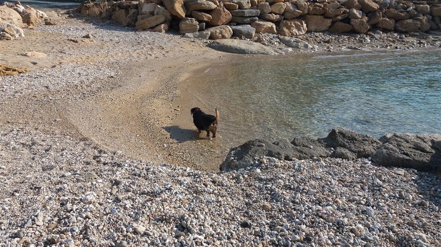 Vardas beach yesterday (900 x 506).jpg