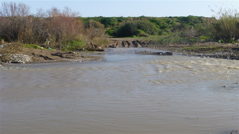 P1020797 (800 x 450).jpg