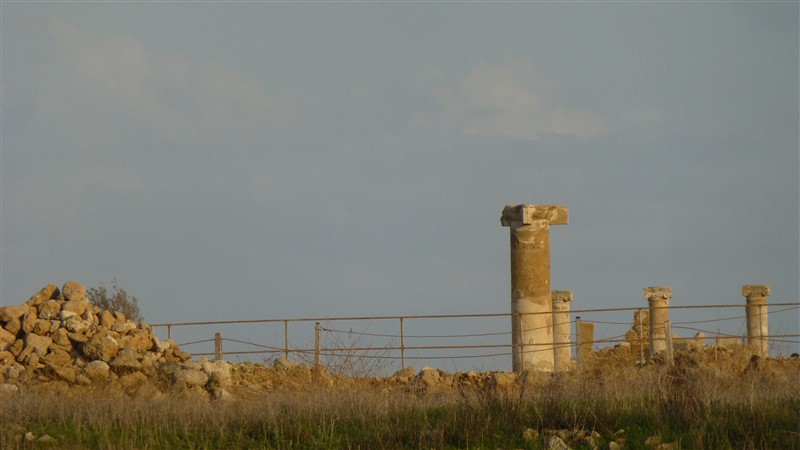 P1020808 (800 x 450).jpg