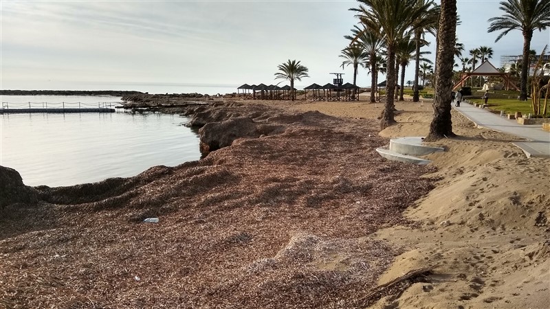 IMG_20190203_155031308_HDR (800 x 450).jpg