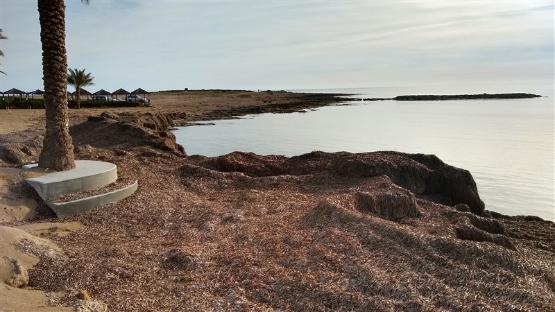 IMG_20190203_155038208_HDR (800 x 450).jpg