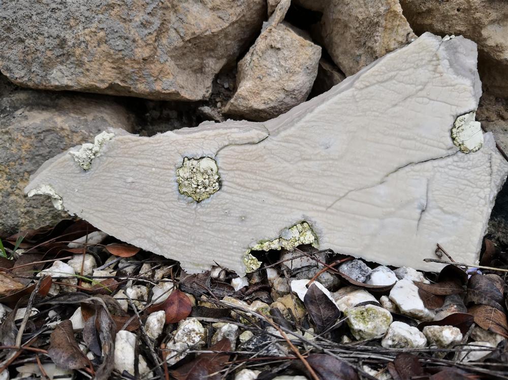 01. slab 30cm across