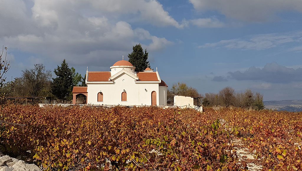 paphos-in-autumn_masthead.jpg