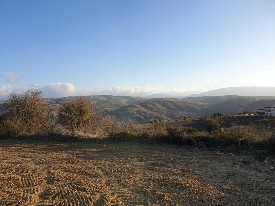 06.jpg