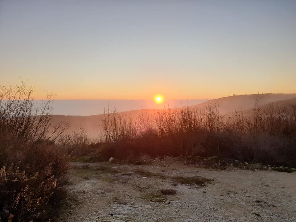 01-fog.jpg