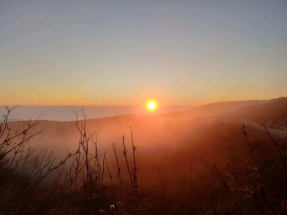 02-fog.jpg