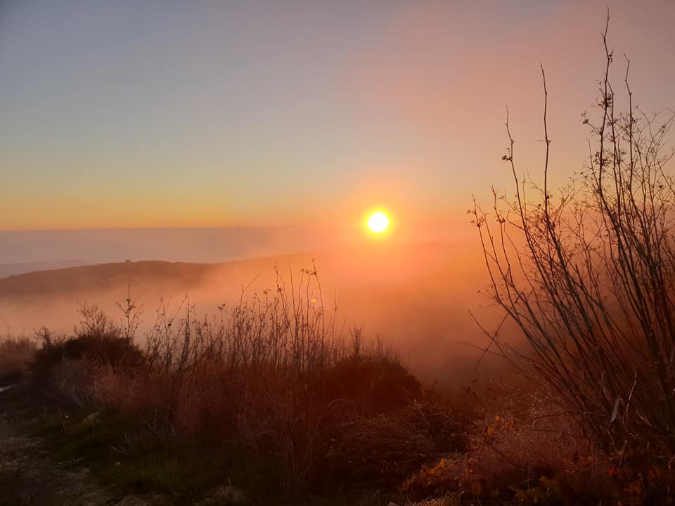 03-fog.jpg