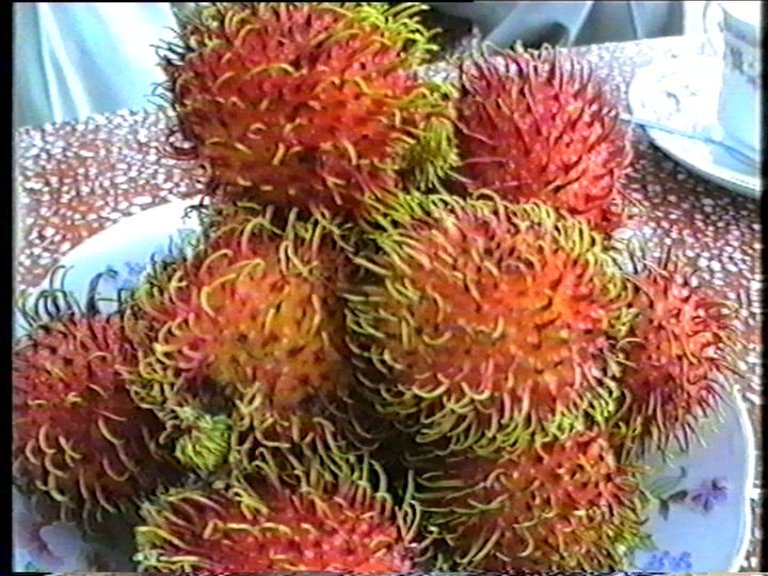 rambutan.jpg