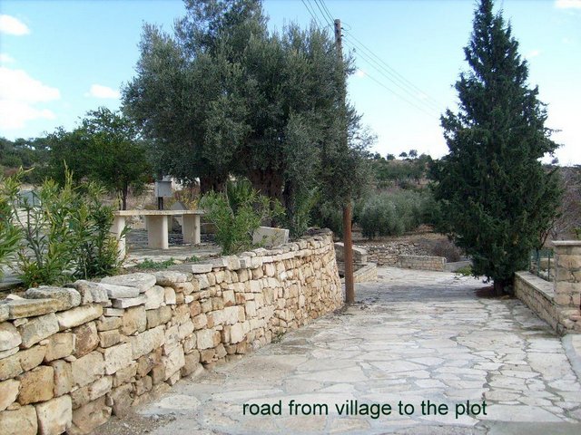 road from village to the plot.jpg