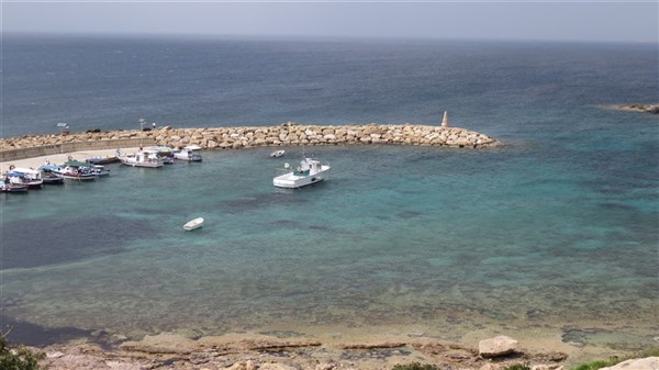 IMG_0111 (1296 x 728) (972 x 546) (600 x 337).jpg